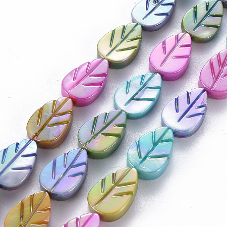 Arricraft Electroplated Natural Freshwater Shell Beads Strands, Dyed, Leaf, Mixed Color, 14~15x9~10x2~4mm, Hole: 0.8mm, about 25pcs/strand, 13.98 inch~14.17 inch(35.5~36cm)