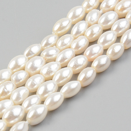 ARRICRAFT Electroplate Natural Freshwater Shell Beads Strands, Rice, Seashell Color, 1/4x1/8 inch(5.5x3.5mm), Hole: 0.8mm, about 72~75pcs/strand, 15.16 inches~15.55 inches(38.5cm~39.5cm)