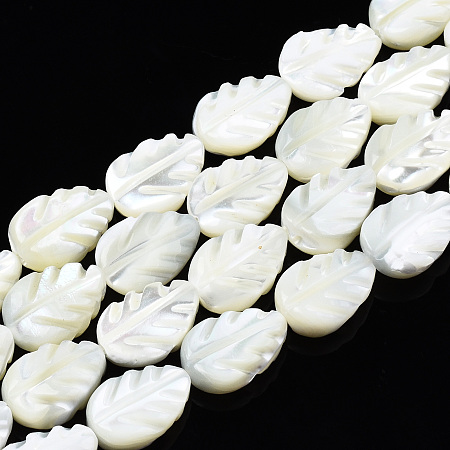 Honeyhandy Natural Trochid Shell/Trochus Shell Beads Strands, Bleach, Leaf, White, 11.5~12x8x3~3.5mm, Hole: 0.8mm, about 34~35pcs/strand, 15.55 inch(39.5~40.6cm)