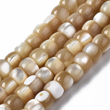 ARRICRAFT Natural Trochid Shell/Trochus Shell Beads Strands, Column, BurlyWood, 4x3mm, Hole: 0.8mm, about 138~140pcs/strand, 15.94 inches(40cm)
