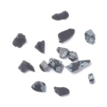Honeyhandy Natural Snowflake Obsidian Chips, 3~11x1~7mm