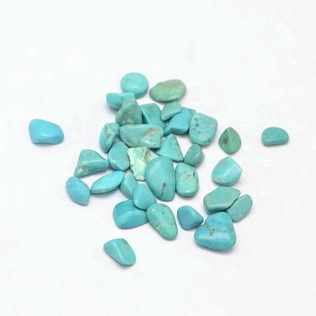Honeyhandy Dyed & Heated Natural Howlite Chip Beads, No Hole/Undrilled, Dark Turquoise, 3~9x1~4mm