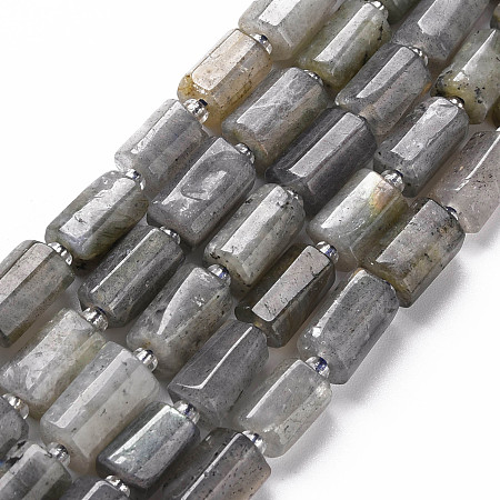 Honeyhandy Natural Labradorite Beads Strands, Faceted, Column, 8~11x6~8x5~7mm, Hole: 1mm, about 15~17pcs/strand, 7.28~7.48 inch