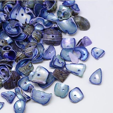 Honeyhandy Dyed Natural Spiral Shell Chips Beads, Shell Shards, Royal Blue, 10~20x6~15mm, Hole: 1mm, about 70pcs/50g