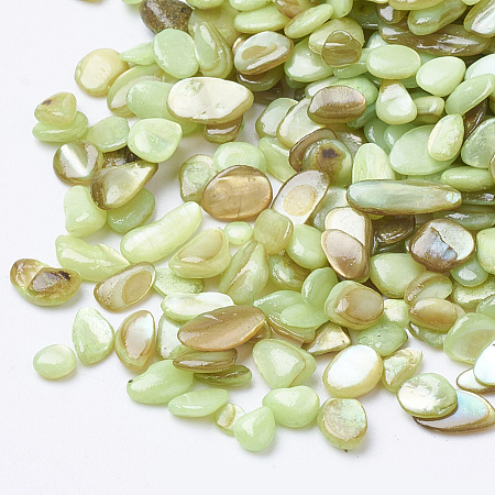 Nbeads Shell Beads, No Hole Beads, Dyed, Chip, GreenYellow, 1~15x1~15x0.5~5mm