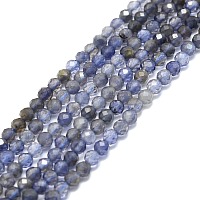 ARRICRAFT Natural Iolite/Cordierite/Dichroite Beads Strands, Faceted, Round, 3mm, Hole: 0.7mm, about 132pcs/strand, 15.16''~15.55''(38.5~39.5cm)