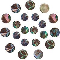 SUNNYCLUE 1 Box 20Pcs Natural Abalone Shell Flat Round Shape Beads Paua Shell Colorful Loose Spacer Coin Charms Hole Drilled for Jewelry Making Bracelets Necklaces Supplies, 8MM 10MM