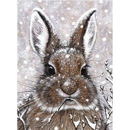 Honeyhandy 5D DIY Diamond Painting Animals Canvas Kits, with Resin Rhinestones, Diamond Sticky Pen, Tray Plate and Glue Clay, Rabbit Pattern, 30x20x0.02cm