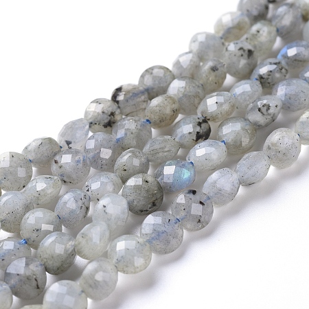 Honeyhandy Natural Labradorite Beads Strands, Faceted, Flat Round, 6~7x4~4.5mm, Hole: 1mm, about 61~64pcs/strand, 14.96 inch(38cm)