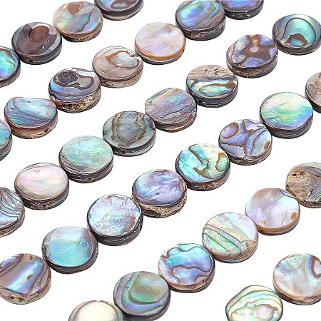 BENECREAT 40 Packs Natural Abalone Shell Coin Flat Round Abalone Shell Beads with Storage Containers for DIY Jewelry Making, 10x3mm