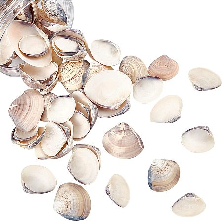 NBEADS About 300g Natural Clam Shell Beads Undrilled Seashell Beads Beach Seashell Charms for DIY Summer Ocean Craft Jewelry Making Wedding Party Home Decor