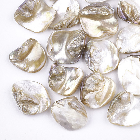 ARRICRAFT Freshwater Shell Beads, Chip, Light Khaki, 18~22x15~21x7.5~10mm, Hole: 0.8mm