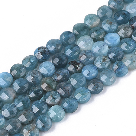 Honeyhandy Natural Apatite Beads Strands, Faceted, Flat Round, 4x2.5mm, Hole: 0.6mm, about 102pcs/strand, 15.35 inch(39cm)