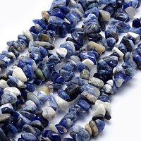 Honeyhandy Natural Sodalite Beads Strands, Chip, 5~8mm, Hole: 1mm, about 31 inch