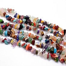 ARRICRAFT Mixed Stone Beads Strands, Chips, 8~12x8~12mm, Hole: 1mm, about 31.5 inches