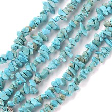 Honeyhandy Natural Turquoise Beads Strands, Chip, 1.5~4.5x3~13x2.5~8mm, Hole: 0.6mm, 30.94~31.97 inch(78.6~81.2cm)