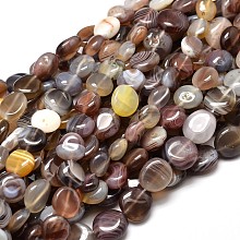 Honeyhandy Natural Botswana Agate Nuggets Beads Strands, Tumbled Stone, 9~12x8~13x5~7mm, Hole: 1mm, about 15.3 inch~15.7 inch