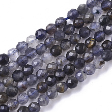 Honeyhandy Natural Iolite/Cordierite/Dichroite Beads Strands, Faceted, Round, 3mm, Hole: 0.6mm, about 120pcs/Strand, 15.35 inch(39cm)