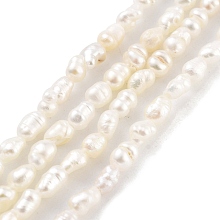 Natural Keshi Pearl Cultured Freshwater Pearl Beads Strands, Baroque Pearls, Grade 3A, Rice, Snow, 2~2.5mm, Hole: 3mm, about 55pcs/strand, 7.09''(18cm)