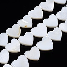 Honeyhandy Natural Freshwater Shell Beads Strands, Heart, Creamy White, 12~13x12~14x3mm, Hole: 0.8mm, about 30pcs/strand, 14.96 inch~15.35 inch(38cm)