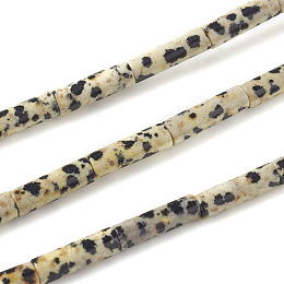 Honeyhandy Natural Dalmatian Jasper Beads Strands, Column, 13~14x4mm, Hole: 1mm, about 30pcs/strand, 15.9 inch(40.5cm)