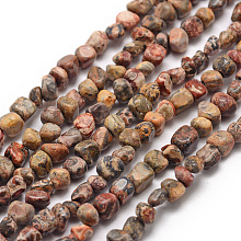 Honeyhandy Natural Leopard Skin Jasper Beads Strands, Chip, 3~5x3~5x3~8mm, Hole: 1mm, about 85~90pcs/strand, 15.7 inch(40cm)