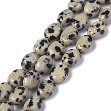 Honeyhandy Natural Dalmatian Jasper Beads Strands, Oval, 8x6x3.5~4mm, Hole: 1mm, about 45~52pcs/strand, 15.16~15.74 inch(38.5~40cm)