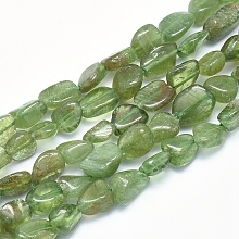 Honeyhandy Natural Peridot Beads Strands, Tumbled Stone, Nuggets, 8~14x6~10x4~10mm, Hole: 0.8mm, about 40~43pcs/strand, 15.3~15.7 inch(39~40cm)