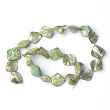 Honeyhandy Natural Sea Shell Beads, Irregular, 14~23x18~20mm, Hole: 1mm, 22pcs/strand, 16 inch/strand