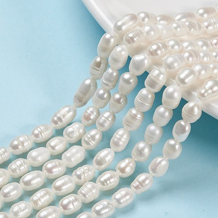 ARRICRAFT Natural Cultured Freshwater Pearl Beads Strands, Rice, Seashell Color, 6~7x5~5.5mm, Hole: 0.5mm, about 26pcs/strand, 7.34 inches