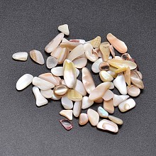 Honeyhandy Shell Nuggets Cabochons, Bisque, 6~15x3~7mm, about 2950pcs/500g