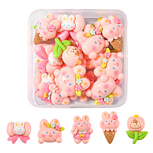 Honeyhandy 20Pcs 5 Styles Thanksgiving Day Theme Cartoon Opaque Resin Cabochons, Rabbit Flower Cabochons, for Jewelry Making, Pink, 19~27.5x18~25.5x8~10mm, 4pcs/style