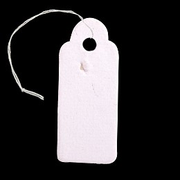 Honeyhandy Rectangle Blank Hang tag, Jewelry Display Paper Price Tags, with Cotton Cord, White, 22x9x0.1mm, Hole: 2mm, 500pcs/bag