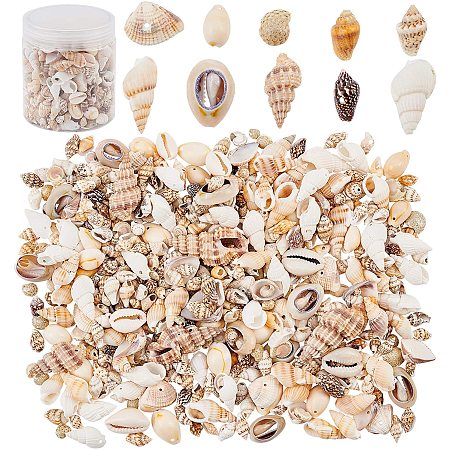 PandaHall Elite About 175g Mixed Ocean Beach Spiral Seashells Craft Charms for Home Decorations, Beach Theme Party, Candle Making, Wedding Decor, DIY Crafts, Fish Tank and Vase Filler