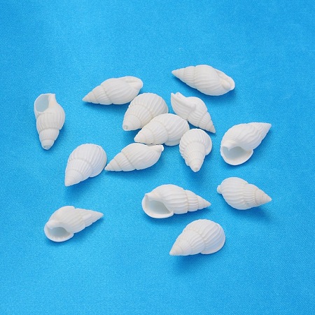 Honeyhandy Natural Trumpet Shell Beads, Mixed, White, 19~25x10~15x8~11mm, Hole: 1mm, about 850pcs/500g