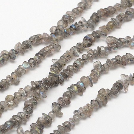 Honeyhandy Chips Natural Black Labradorite Beads Strands, 3~8x3~12x3~5mm, Hole: 1mm, about 32 inch