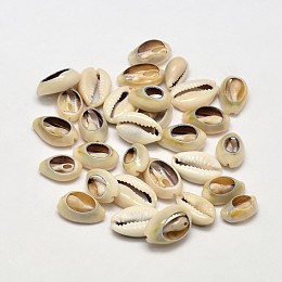 Honeyhandy Natural Cowrie Shell Beads, No Hole, Pale Goldenrod, 13~16x8~10x5mm, about 1100pcs/500g
