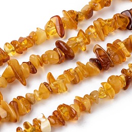 Honeyhandy Natural Amber Chip Beads Strands, 5~14x4~10mm, Hole: 1mm, about 15.5 inch~16.1 inch