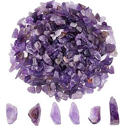 SUNNYCLUE 1 Box 100g Amethyst Chip Beads Chakra Chip Stones Irregular Shaped Gemstones Healing Engry Crystals Pieces for Jewelry Making DIY Craft Decoration Bracelet Necklace Supplies Accessories