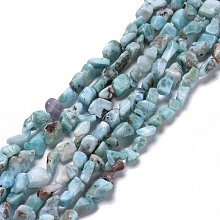 Honeyhandy Natural Larimar Beads Strands, Nuggets, 6~12x3~7x3~7mm, Hole: 1mm, about 62pcs/strand, 16.34 inch(41.5cm)