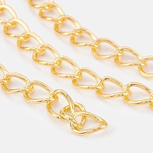 Honeyhandy Iron Chains, Unwelded, Twisted Chains, Unwelded, Oval, with Spool, Lead Free & Nickel Free, Golden, 8x6x1mm