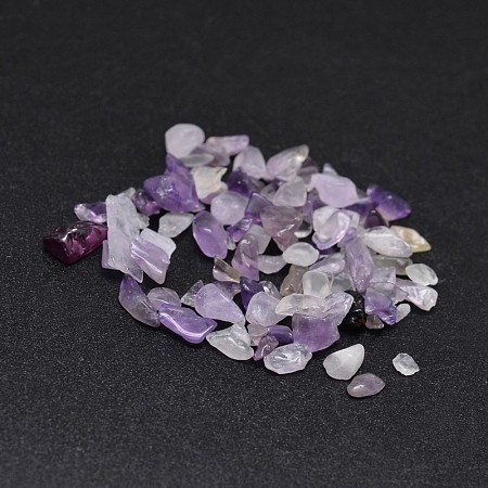 Arricraft Natural Amethyst Chip Beads, No Hole/Undrilled, 2~8x2~4mm, about 170pcs/10g