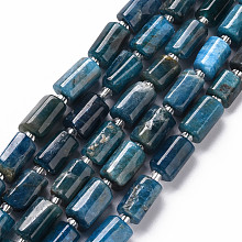 ARRICRAFT Natural Apatite Beads Strands, Faceted, Column, 8~11x6~8x5~7mm, Hole: 1mm, about 17pcs/strand, 7.48 inches