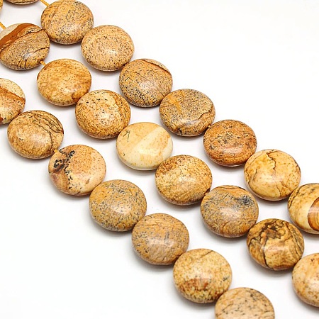 Arricraft Natural Flat Round Picture Jasper Beads Strands, 20x7~9mm, Hole: 1mm, about 20pcs/strand, 15.74 inches