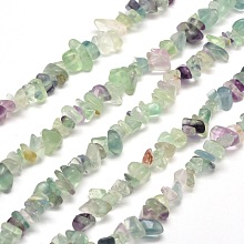 SUNNYCLUE Natural Fluorite Chip Beads, 5~8x5~8mm, Hole: 1mm, about 400pcs/box