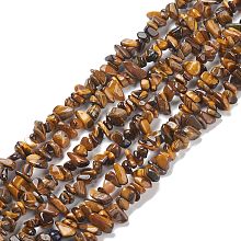 Honeyhandy Natural Tiger Eye Chips Beads Strands, 5~8mm, Hole: 0.3mm