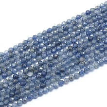 Honeyhandy Natural Iolite/Cordierite/Dichroite Beads Strands, Faceted, Round, 2.5mm, Hole: 0.4mm, about 147pcs/strand, 15.55 inch(39.5cm)