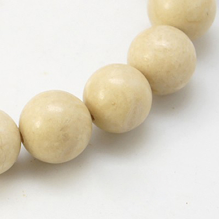 Honeyhandy Natural Fossil Beads Strands, Round, Size: about 4mm in diameter, hole: 1mm, about 85~90pcs/strand, 15 inch