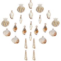 SUNNYCLUE 1 Box 24Pcs 6 Styles Sea Shell Pendants Electroplated Shell Charms Imitation Gemstone Style Spiral Shell Acrylic Charm for Women DIY Earring Necklace Bracelet Jewellery Making