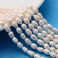ARRICRAFT 5 Strands 13.77"~14.17" Ivory Grade A Natural Rice Pearl Beads Strands, 6~8x4~5mm, about 49pcs/strand